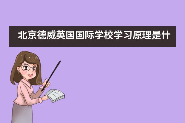 北京德威英国国际学校学习原理是什么?