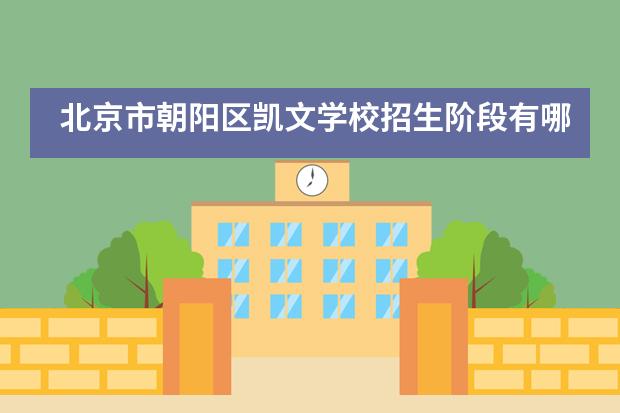 北京市朝阳区凯文学校招生阶段有哪个?