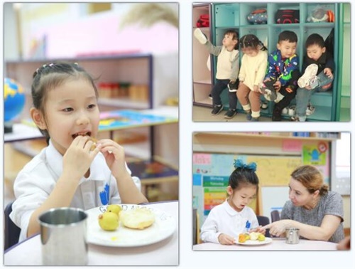 合肥高新中加学校校园开放日01