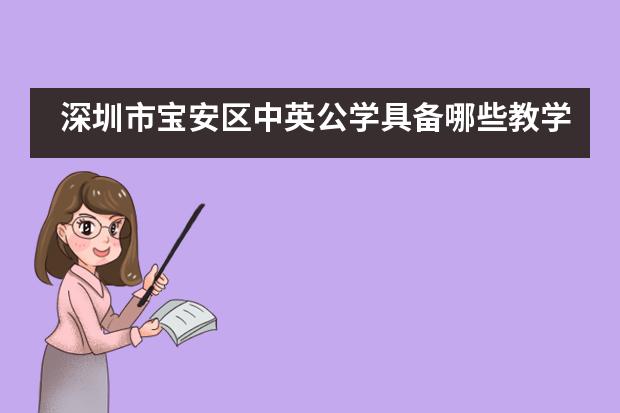 深圳市宝安区中英公学具备哪些教学优势?
