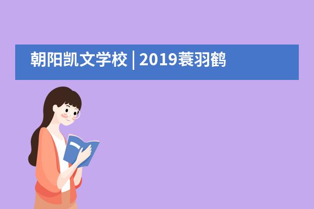 朝阳凯文学校 | 2019蓑羽鹤国际青少年冰球公开赛于朝阳凯文成功举办!