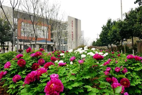 洛阳市第二外国语学校