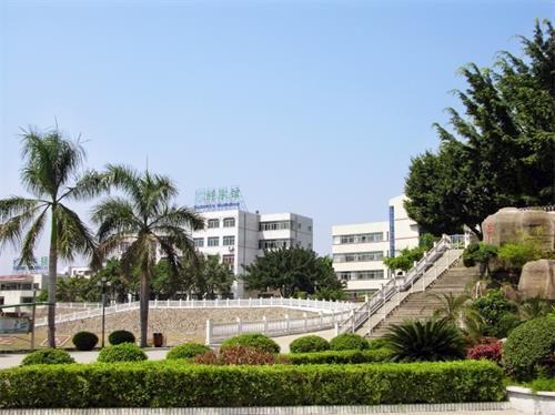 深圳市石岩公学国际部风景图 深圳市石岩公学国际部风景图