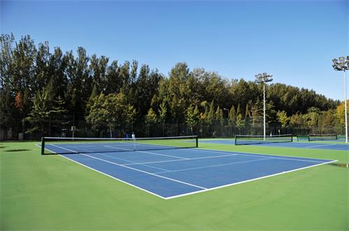 北京德威英国国际学校运动场地