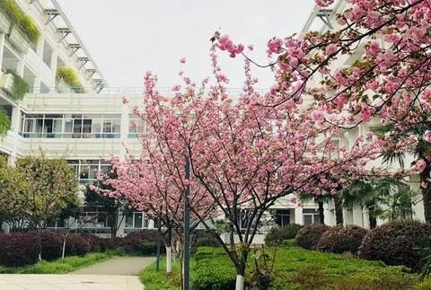 南京师范大学附属实验学校国际部风景图 南京师范大学附属实验学校国际部风景图