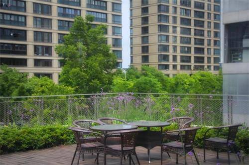 宁波效实中学国际中心校园风采图10 宁波效实中学国际中心校园风采图10