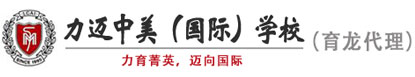 力迈中美（国际）logo