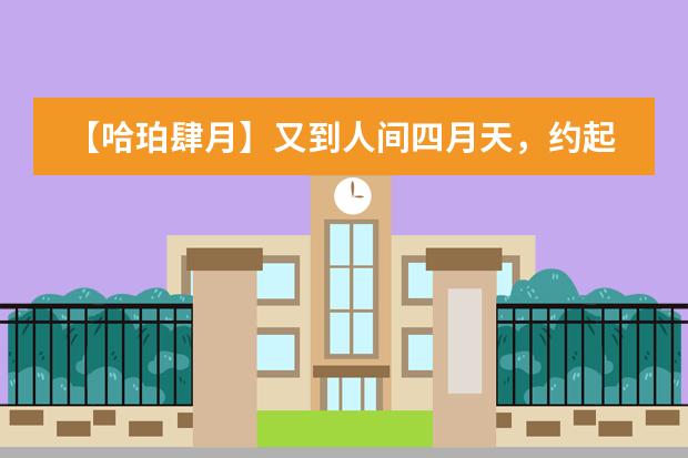 【哈珀肆月】又到人间四月天，约起来！