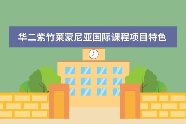 华二紫竹莱蒙尼亚国际课程项目特色课程：科技创新课程