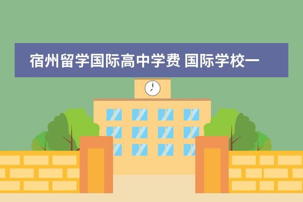 宿州留学国际高中学费 国际学校一年得花多少钱?