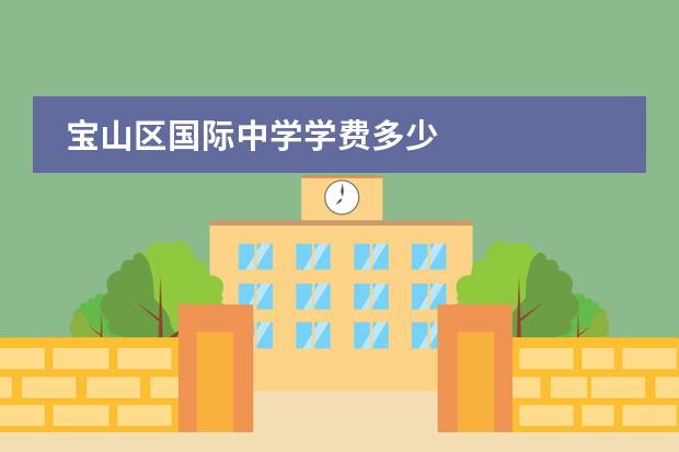宝山区国际中学学费多少