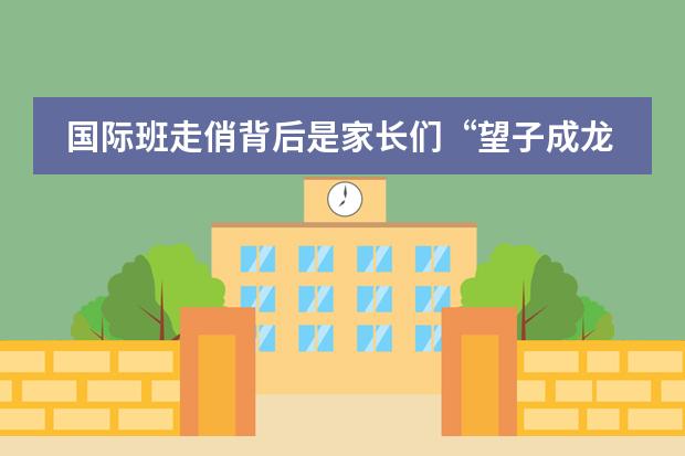 国际班走俏背后是家长们&ldquo;望子成龙&rdquo;的期盼