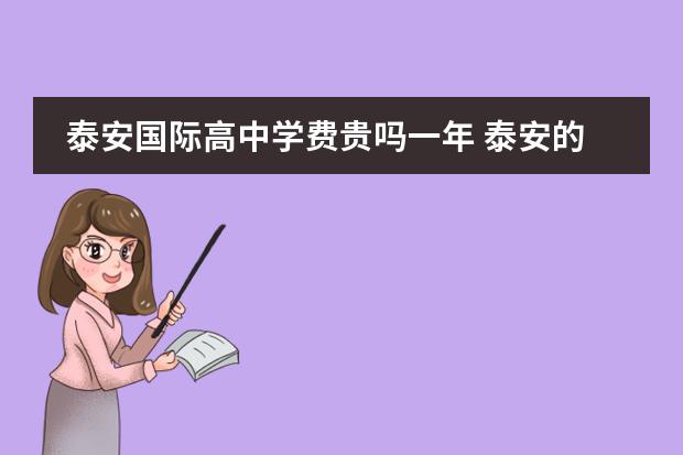 泰安国际高中学费贵吗一年 泰安的江山实验学校怎么样?