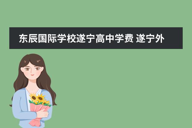 东辰国际学校遂宁高中学费 遂宁外国语实验学校和遂宁东辰国际学校哪个好 - 百...