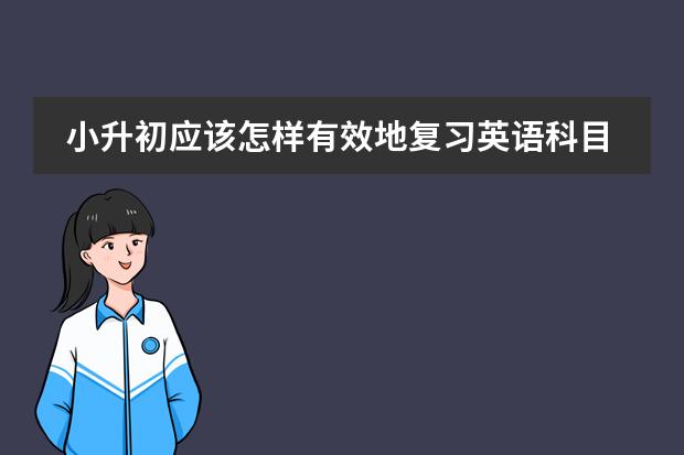 小升初应该怎样有效地复习英语科目