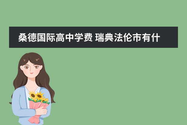 桑德国际高中学费 瑞典法伦市有什么大学?