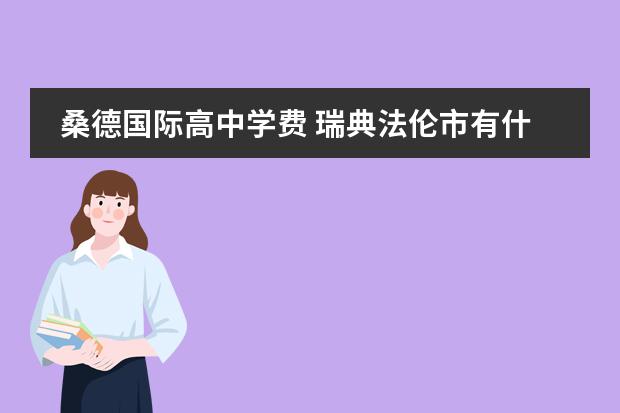 桑德国际高中学费 瑞典法伦市有什么大学?