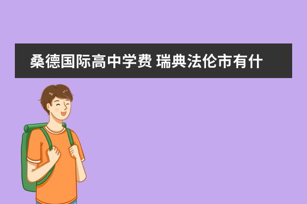 桑德国际高中学费 瑞典法伦市有什么大学?