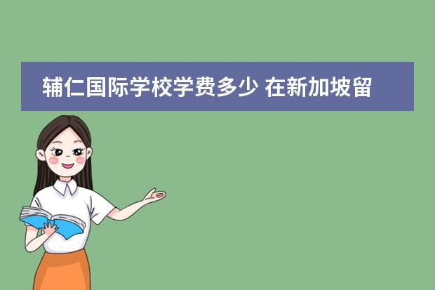 辅仁国际学校学费多少 在新加坡留学一年费用多少?贵吗?