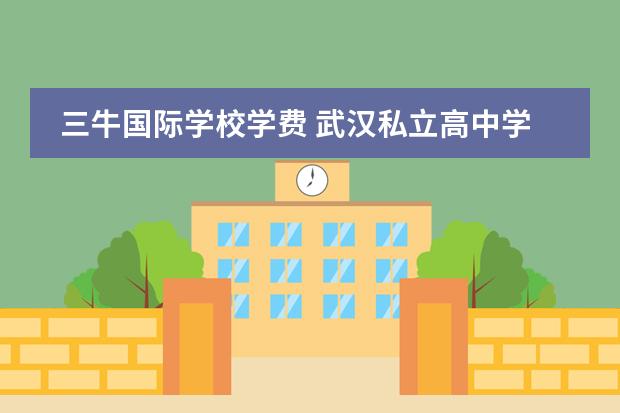 三牛国际学校学费 武汉私立高中学校排名及费用