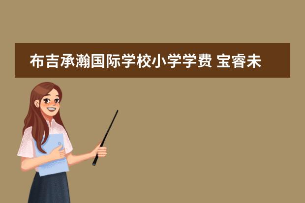 布吉承瀚国际学校小学学费 宝睿未来国际小学一到六年级国际班一年学费多少? - ...