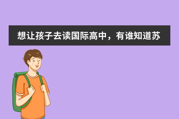 想让孩子去读国际高中，有谁知道苏州德威国际高中学费差不多一年多少钱么？