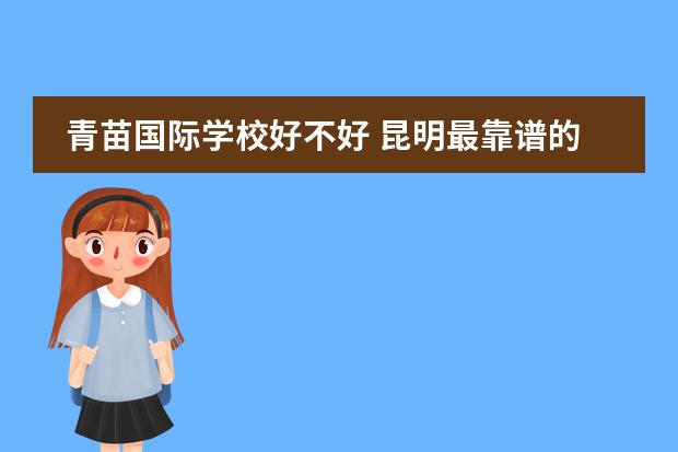 青苗国际学校好不好 昆明最靠谱的国际学校