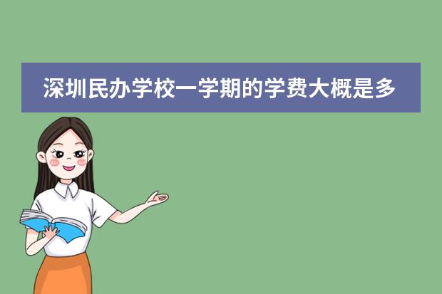 深圳民办学校一学期的学费大概是多少?