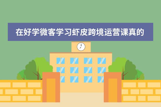 在好学微客学习虾皮跨境运营课真的值吗?