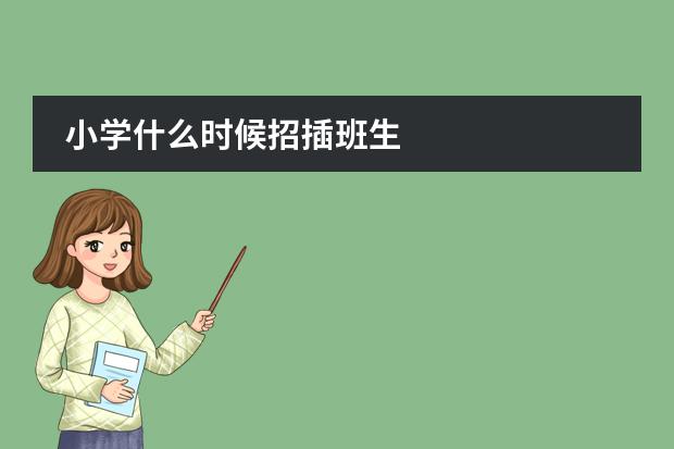 小学什么时候招插班生