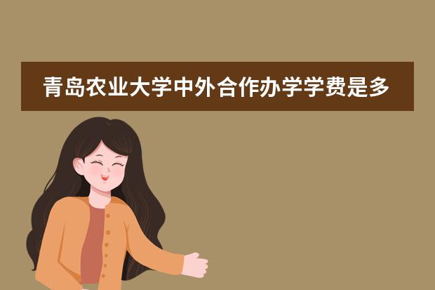 青岛农业大学中外合作办学学费是多少?