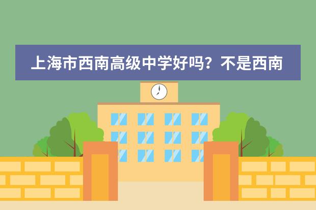 上海市西南高级中学好吗？不是西南位育、西南模范！学费多少？分班吗？