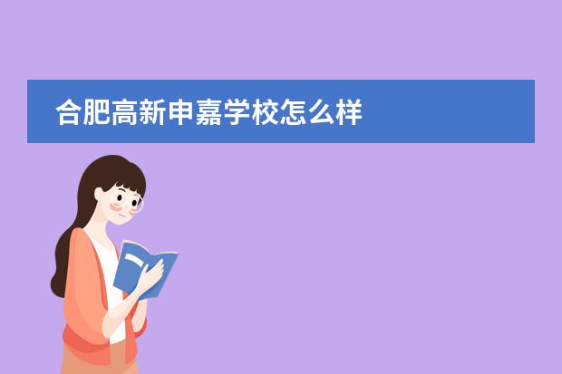 合肥高新申嘉学校怎么样