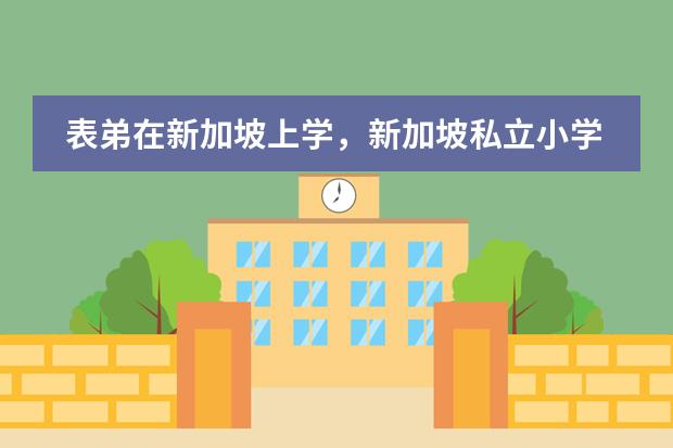 表弟在新加坡上学，新加坡私立小学学校排名是什么呢？