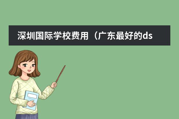深圳国际学校费用（广东最好的dse学校）