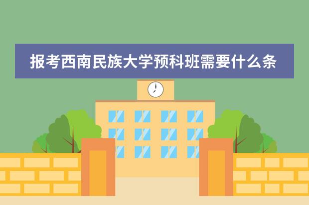 报考西南民族大学预科班需要什么条件？