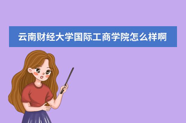云南财经大学国际工商学院怎么样啊???