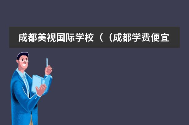 成都美视国际学校（（成都学费便宜的私立学校）