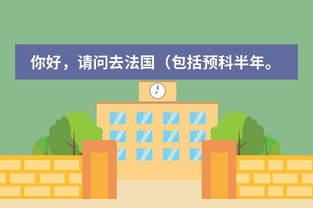 你好，请问去法国（包括预科半年。国内法语学习，中介费，生活费，机票）第一年大概需要多少钱？