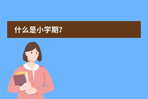 什么是小学期？