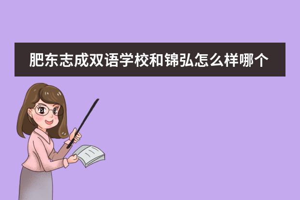 肥东志成双语学校和锦弘怎么样哪个好