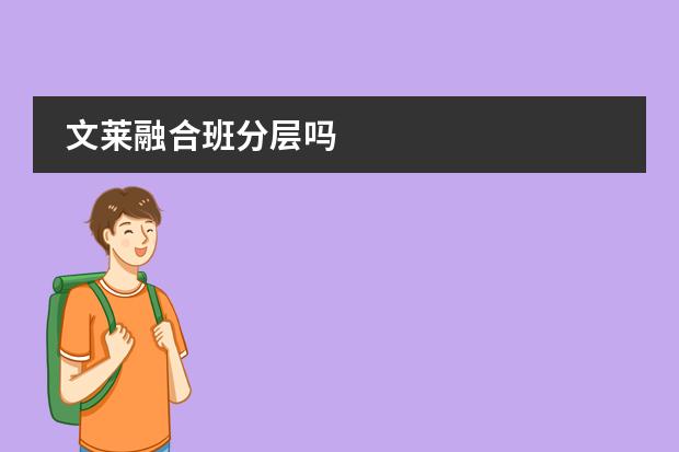 文莱融合班分层吗