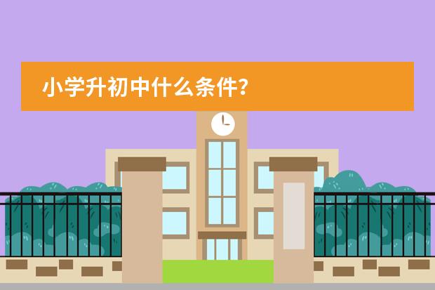 小学升初中什么条件？