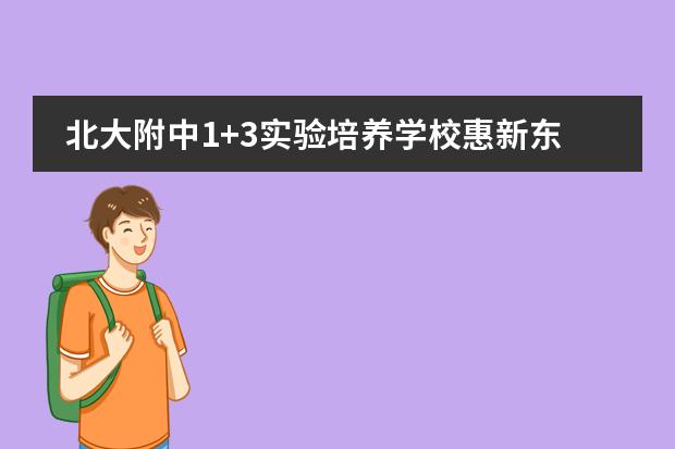 北大附中1+3实验培养学校惠新东街校区怎么样？