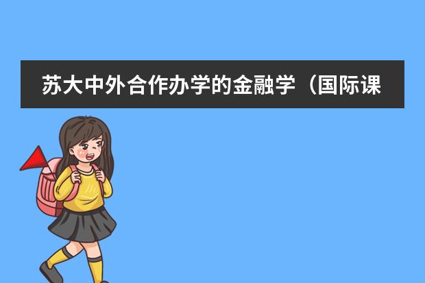 苏大中外合作办学的金融学（国际课程实验班）怎么样