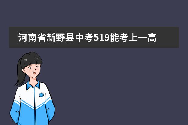 河南省新野县中考519能考上一高吗
