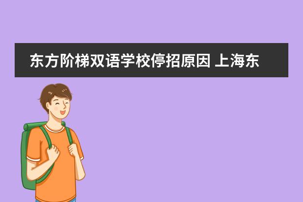 东方阶梯双语学校停招原因 上海东方阶梯双语学校的学习环境