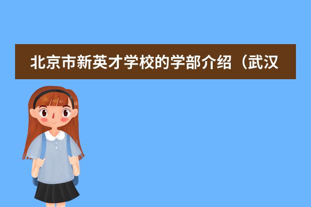 北京市新英才学校的学部介绍（武汉最好的十大幼儿园）