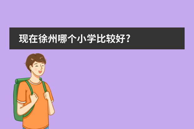 现在徐州哪个小学比较好?