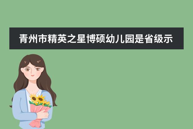 青州市精英之星博硕幼儿园是省级示范幼儿园吗
